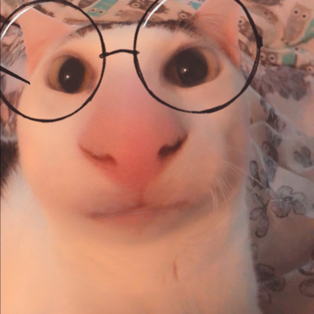 Meet your Posher, Jenn